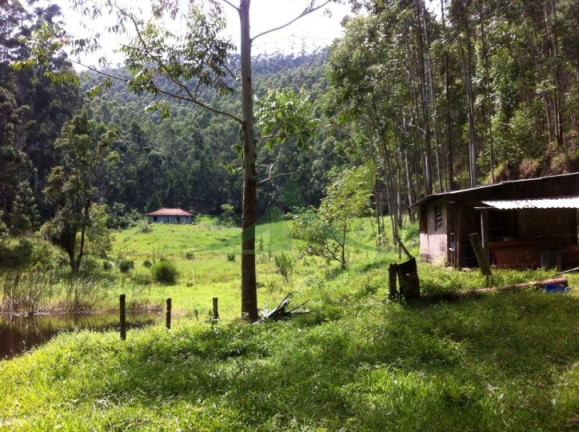 Imagem Fazenda à Venda, 1.161.600 m² em Piracaia - Piracaia Imagem Fazenda à Venda, 1.161.600 m² em Piracaia - Piracaia