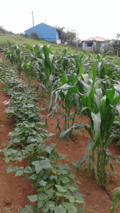 Imagem Terreno à Venda, 1.900 m² em Taubaté Imagem Terreno à Venda, 1.900 m² em Taubaté