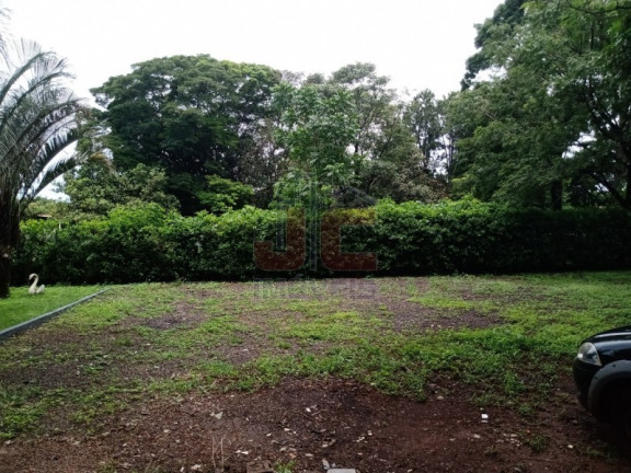 Imagem Imóvel com 4 Quartos à Venda, 13.000 m² em Jardim Das Palmeiras - Ribeirão Preto Imagem Imóvel com 4 Quartos à Venda, 13.000 m² em Jardim Das Palmeiras - Ribeirão Preto