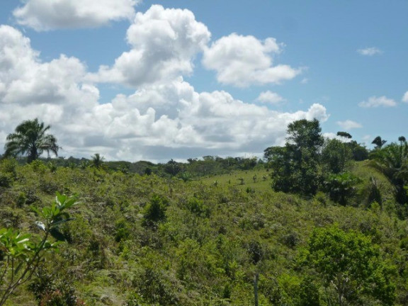 Imagem Imóvel à Venda, em Aderno - Ilhéus Imagem Imóvel à Venda, em Aderno - Ilhéus