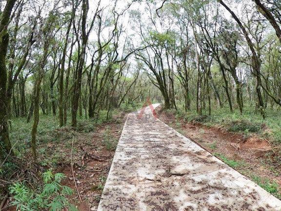 Imagem Fazenda à Venda, 20.000 m² em Jordão - Guarapuava Imagem Fazenda à Venda, 20.000 m² em Jordão - Guarapuava