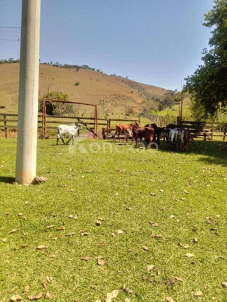 Imagem Fazenda à Venda, 400 m² em Centro - Jacareí