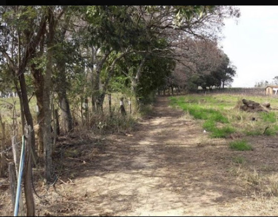 Imagem Imóvel à Venda, 5.000 m² em Traviú - Jundiaí