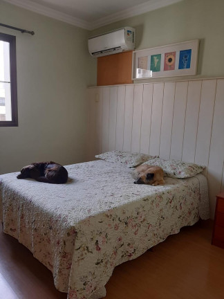 Imagem Apartamento com 3 Quartos à Venda, 150 m² em Cambuí - Campinas Imagem Apartamento com 3 Quartos à Venda, 150 m² em Cambuí - Campinas
