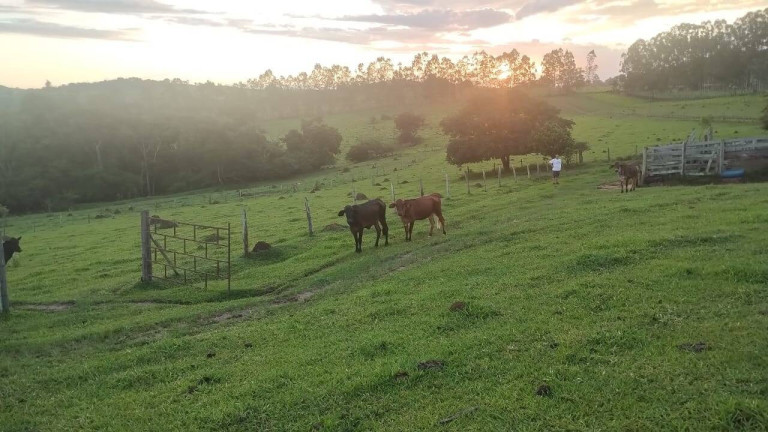 Imagem Chácara à Venda, 2 m² em Vargem Grande Do Sul Imagem Chácara à Venda, 2 m² em Vargem Grande Do Sul