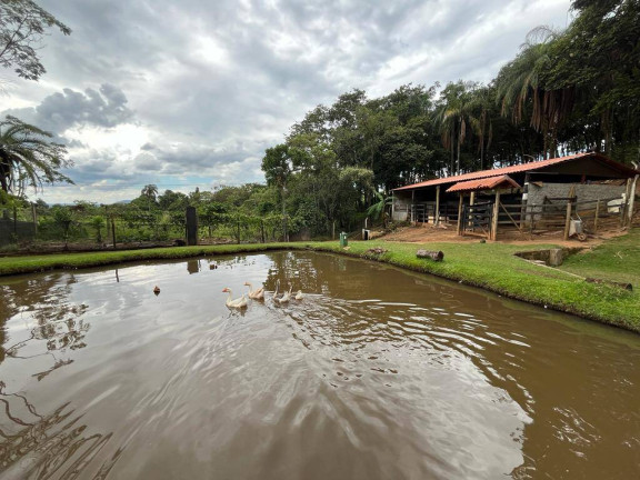Imagem Chácara com 4 Quartos à Venda, 16 m² em Batatal - Igarapé Imagem Chácara com 4 Quartos à Venda, 16 m² em Batatal - Igarapé