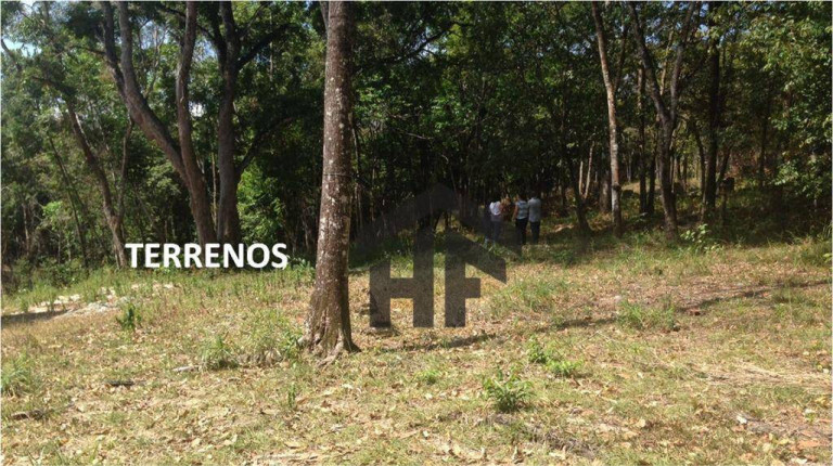 Imagem Terreno à Venda, 10.700 m² em Loteamento Enseada Dos Corais - Cabo De Santo Agostinho Imagem Terreno à Venda, 10.700 m² em Loteamento Enseada Dos Corais - Cabo De Santo Agostinho