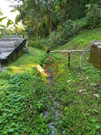 Imagem Chácara com 3 Quartos à Venda, 7.000 m² em Santa Isabel - Santa Isabel Imagem Chácara com 3 Quartos à Venda, 7.000 m² em Santa Isabel - Santa Isabel