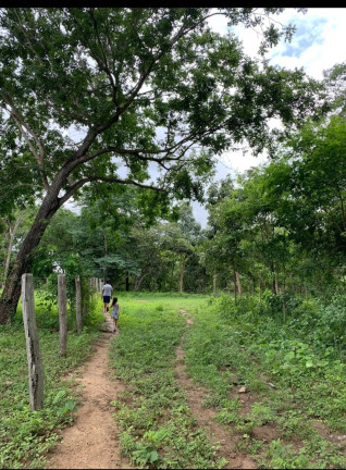 Imagem Chácara à Venda, 22 m² em Jangada Imagem Chácara à Venda, 22 m² em Jangada