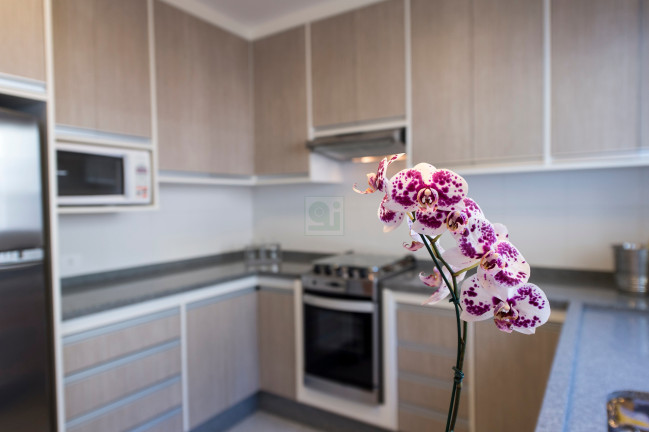Imagem Casa com 2 Quartos à Venda, 67 m² em Jardim Maria Tereza - Cotia Imagem Casa com 2 Quartos à Venda, 67 m² em Jardim Maria Tereza - Cotia