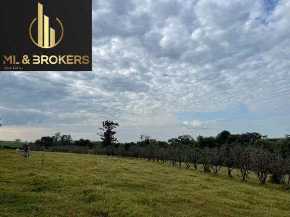 Imagem Imóvel à Venda, 48.400 m² em Zona Rural - Rolandia Imagem Imóvel à Venda, 48.400 m² em Zona Rural - Rolandia