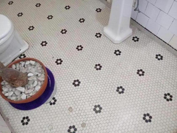 Imagem Apartamento com 1 Quarto à Venda, 75 m² em Bela Vista - São Paulo Imagem Apartamento com 1 Quarto à Venda, 75 m² em Bela Vista - São Paulo