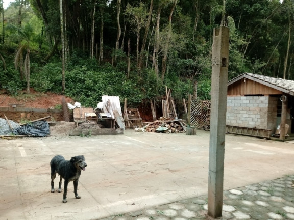 Imagem Chácara com 2 Quartos à Venda, 2.510 m² em Terra Preta - Mairiporã Imagem Chácara com 2 Quartos à Venda, 2.510 m² em Terra Preta - Mairiporã