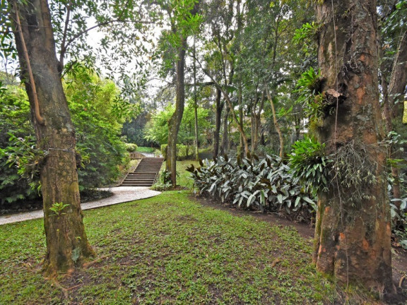 Imagem Casa com 6 Quartos à Venda, 976 m² em Cidade Jardim - São Paulo