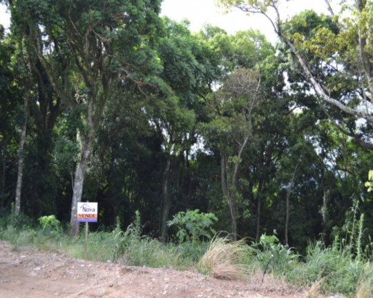 Imagem Imóvel à Venda, 505 m² em Pinhal Alto - Nova Petrópolis Imagem Imóvel à Venda, 505 m² em Pinhal Alto - Nova Petrópolis