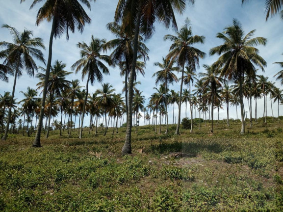 Imagem Terreno à Venda, 140 m² em São Cristóvão - Salvador