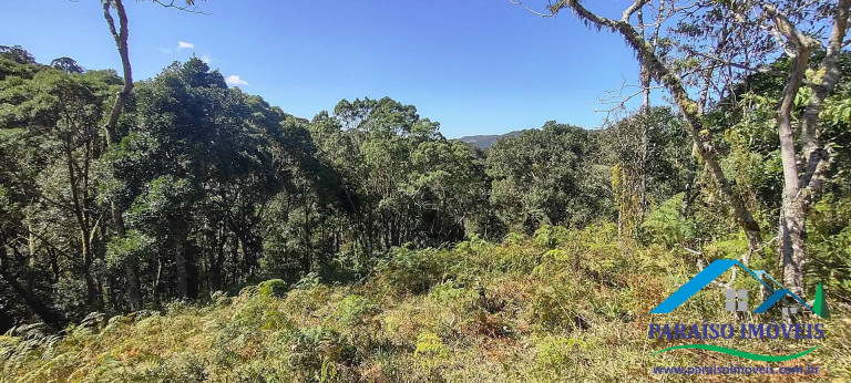 Imagem Chácara à Venda, 100 m² em Centro - Gonçalves