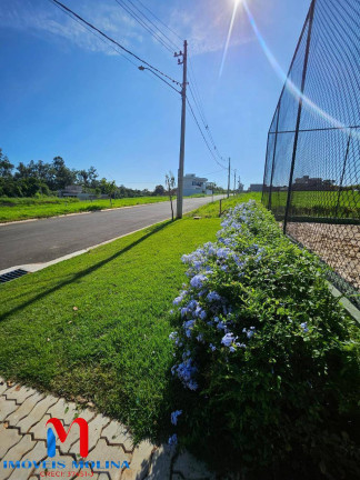 Imagem Terreno em Condomínio à Venda, 300 m² em Tanquinho Velho - Jaguariúna Imagem Terreno em Condomínio à Venda, 300 m² em Tanquinho Velho - Jaguariúna