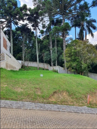 Imagem Terreno à Venda, 605 m² em Campo Comprido - Curitiba