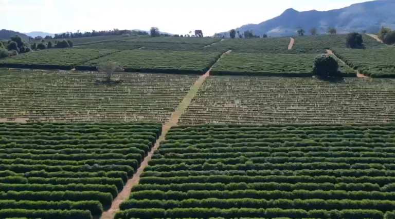 Imagem Fazenda à Venda, 145 m² em Alpinópolis Imagem Fazenda à Venda, 145 m² em Alpinópolis