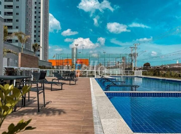 Imagem Apartamento com 2 Quartos à Venda, 50 m² em Vila Metalúrgica - Santo André Imagem Apartamento com 2 Quartos à Venda, 50 m² em Vila Metalúrgica - Santo André