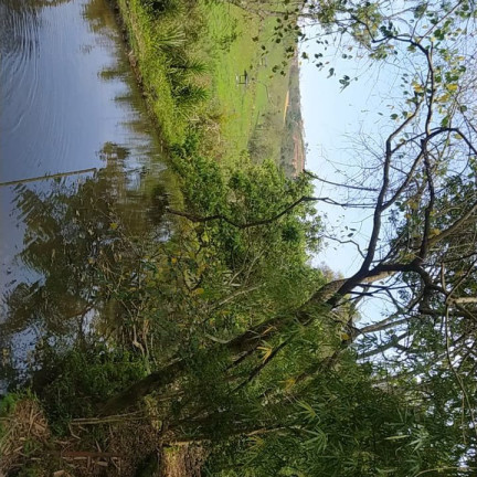 Imagem Fazenda à Venda, 5.000 m² em Cascatas - Francisco Morato