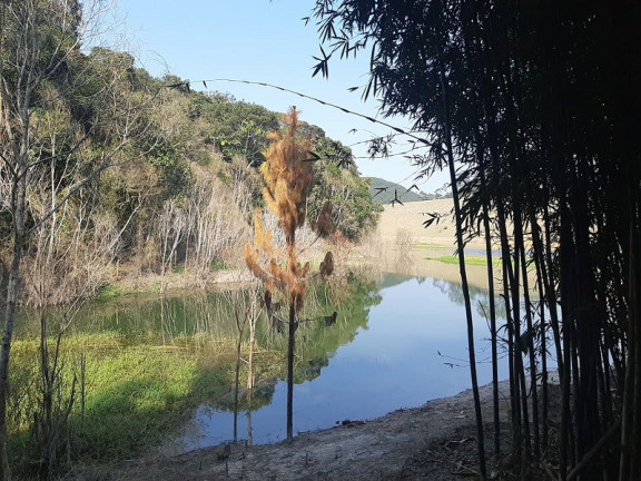 Imagem Imóvel à Venda, em Paraibuna Imagem Imóvel à Venda, em Paraibuna