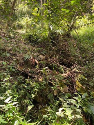 Imagem Terreno à Venda, 3 m² em Santa Terezinha De Minas - Itatiaiuçu Imagem Terreno à Venda, 3 m² em Santa Terezinha De Minas - Itatiaiuçu