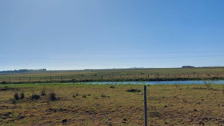 Imagem Imóvel com 2 Quartos à Venda, 2.656 m² em Quaraí Imagem Imóvel com 2 Quartos à Venda, 2.656 m² em Quaraí