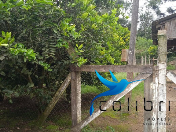 Imagem Chácara com 3 Quartos à Venda, 1.210 m² em Taboão - Agudos Do Sul Imagem Chácara com 3 Quartos à Venda, 1.210 m² em Taboão - Agudos Do Sul