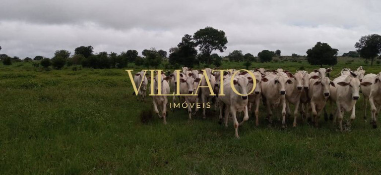 Imagem Fazenda à Venda, 217 m² em Setor Central - Mundo Novo Imagem Fazenda à Venda, 217 m² em Setor Central - Mundo Novo