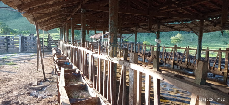 Imagem Fazenda à Venda, 1.010.000 m² em Jardim São Dimas - São José Dos Campos