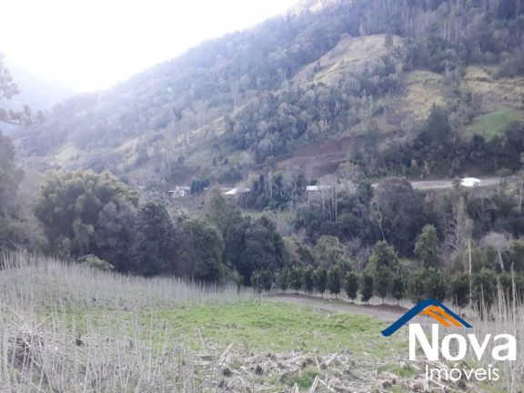 Imagem Imóvel à Venda, 60.000 m² em Linha Riachuelo - Nova Petrópolis Imagem Imóvel à Venda, 60.000 m² em Linha Riachuelo - Nova Petrópolis