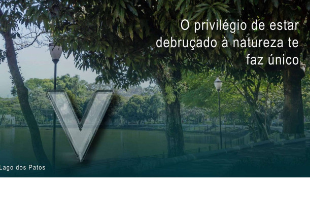 Imagem Apartamento com 2 Quartos à Venda, 47 m² em Vila Rosália - Guarulhos