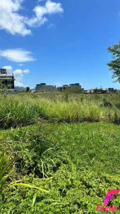 Imagem Terreno à Venda, 720 m² em Ribeirão Da Ilha - Florianópolis Imagem Terreno à Venda, 720 m² em Ribeirão Da Ilha - Florianópolis