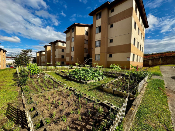 Imagem Apartamento com 1 Quarto à Venda, 41 m² em Colônia Rio Grande - São José Dos Pinhais Imagem Apartamento com 1 Quarto à Venda, 41 m² em Colônia Rio Grande - São José Dos Pinhais