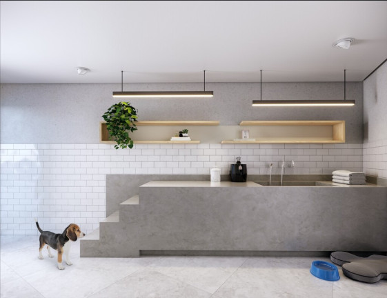 Imagem Apartamento com 2 Quartos à Venda, 69 m² em Vila Mascote - São Paulo