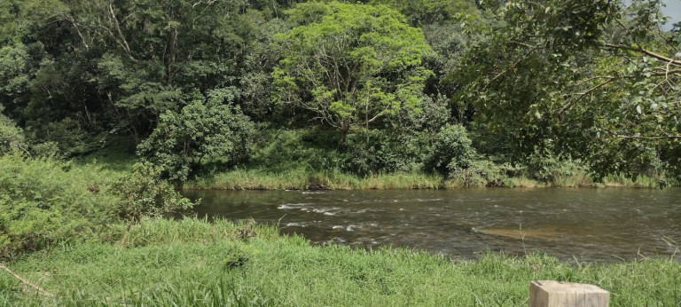 Imagem Chácara com 1 Quarto à Venda, 100 m² em Catuçaba - São Luíz Do Paraitinga Imagem Chácara com 1 Quarto à Venda, 100 m² em Catuçaba - São Luíz Do Paraitinga