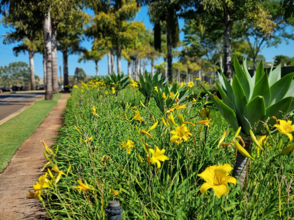 Imagem Terreno à Venda, 750 m² em Condomínio Terras Alpha Anápolis - Anápolis Imagem Terreno à Venda, 750 m² em Condomínio Terras Alpha Anápolis - Anápolis