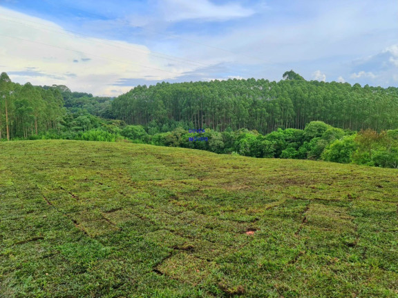 Imagem Imóvel com 1 Quarto à Venda, 5.850 m² em Lamenha Pequena - Curitiba Imagem Imóvel com 1 Quarto à Venda, 5.850 m² em Lamenha Pequena - Curitiba