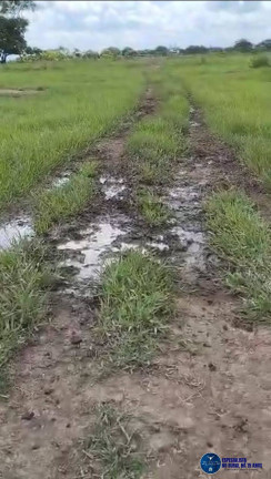 Imagem Fazenda à Venda, 320 m² em Zona Rural - Novo São Joaquim Imagem Fazenda à Venda, 320 m² em Zona Rural - Novo São Joaquim