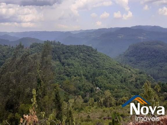 Imagem Imóvel à Venda, em Linha Olinda - Nova Petrópolis Imagem Imóvel à Venda, em Linha Olinda - Nova Petrópolis