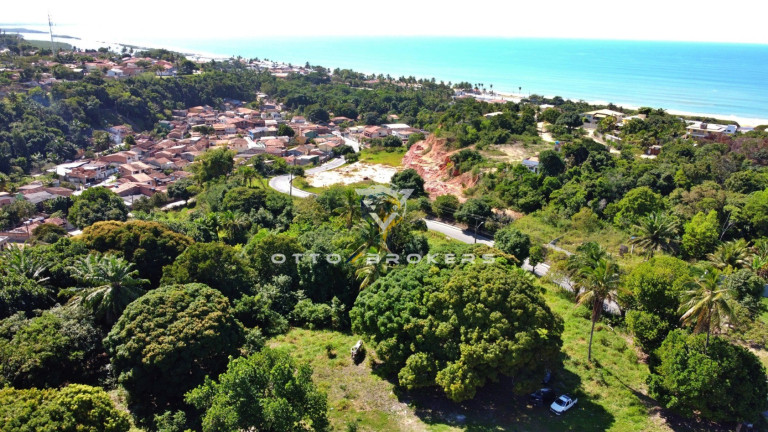 Imagem Terreno à Venda, 65.057 m² em Santa Cruz Cabrália - Santa Cruz Cabrália