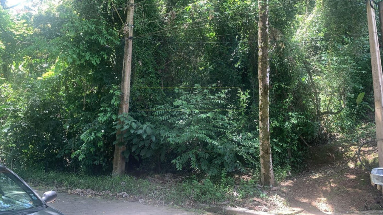 Imagem Terreno à Venda, 1.000 m² em Siriuba - Ilhabela