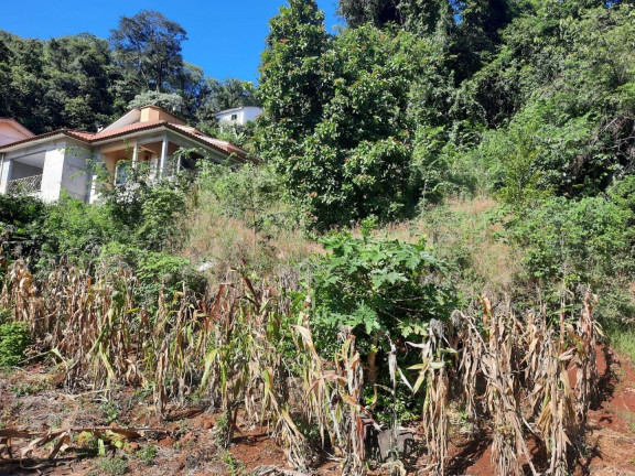 Imagem Terreno à Venda, 450 m² em Itaíba - Concórdia Imagem Terreno à Venda, 450 m² em Itaíba - Concórdia
