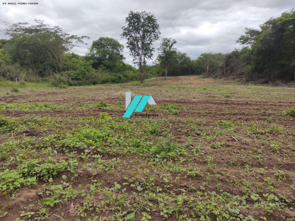 Imagem Fazenda à Venda, 82 m² em Zona Rural - Santo Hipólito Imagem Fazenda à Venda, 82 m² em Zona Rural - Santo Hipólito