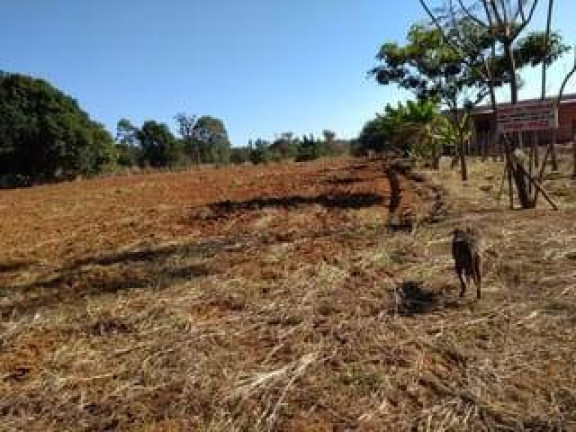 Imagem Terreno à Venda, 5.000 m² em Vila São José (brazlândia) - Brasília Imagem Terreno à Venda, 5.000 m² em Vila São José (brazlândia) - Brasília