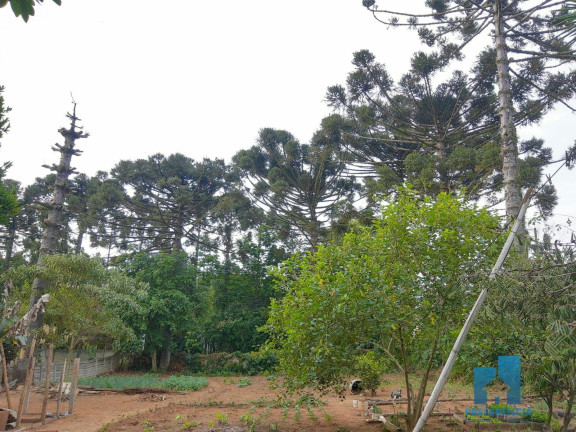 Imagem Imóvel com 2 Quartos à Venda, 100 m² em Guaragi - Ponta Grossa Imagem Imóvel com 2 Quartos à Venda, 100 m² em Guaragi - Ponta Grossa