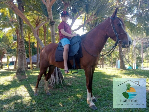 Imagem Chácara à Venda, 34 m² em Maraporã - Cachoeiras De Macacu Imagem Chácara à Venda, 34 m² em Maraporã - Cachoeiras De Macacu