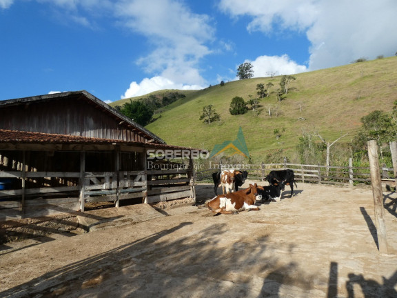 Imagem Terreno à Venda, 840.000 m² em Três Córregos - Teresópolis Imagem Terreno à Venda, 840.000 m² em Três Córregos - Teresópolis